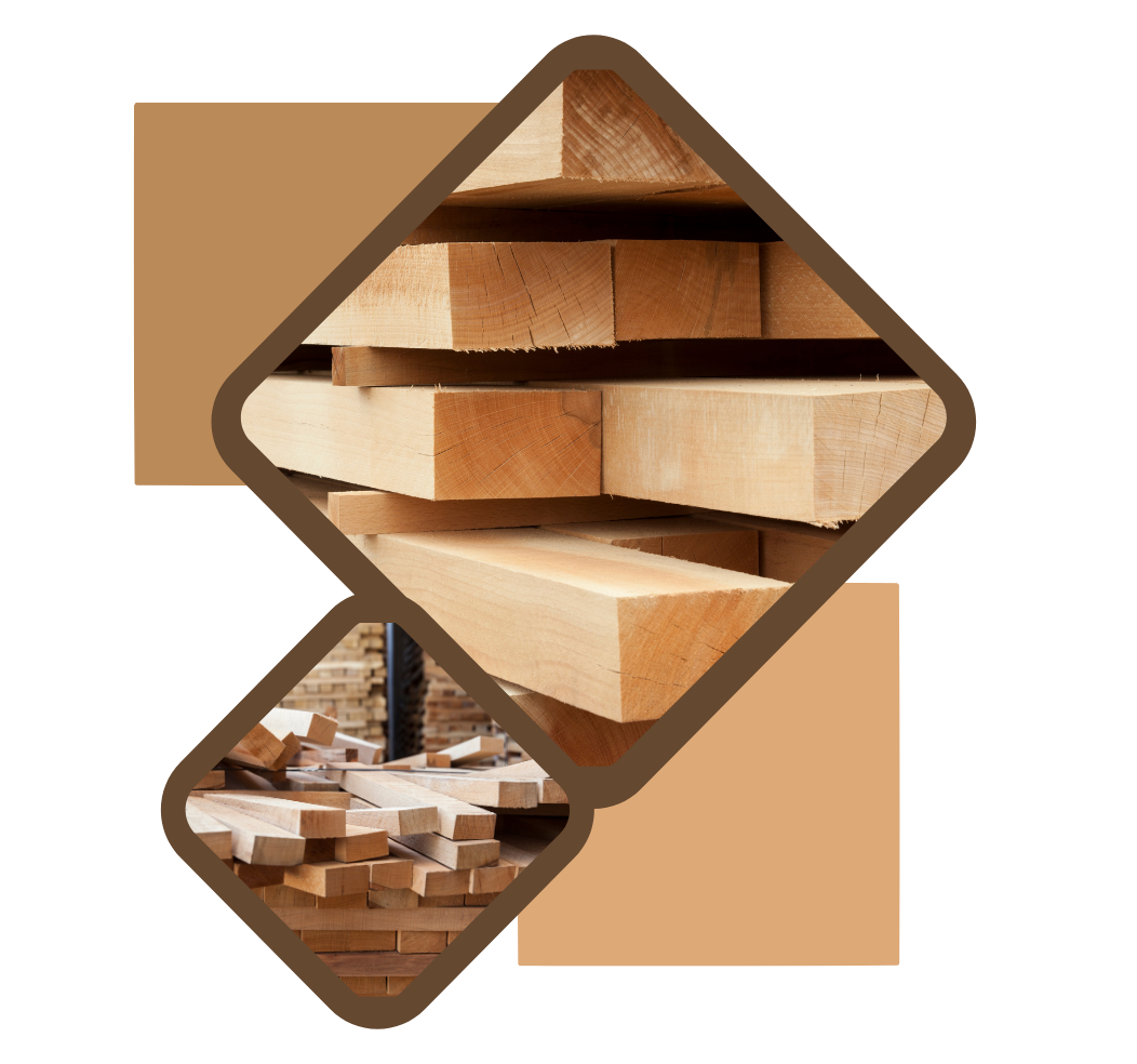 Design sem nome (15)